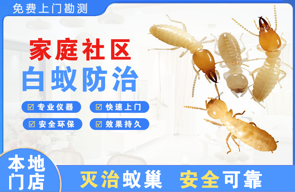 大竹家庭社区白蚁防治