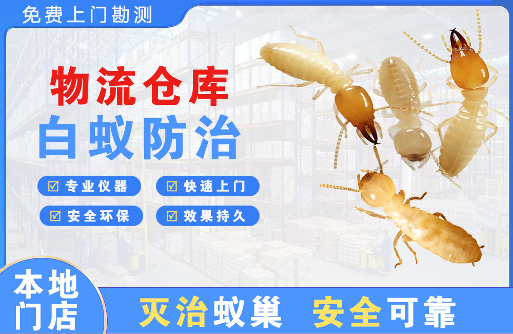 大竹物流仓库白蚁防治
