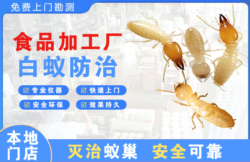 大竹食品加工厂白蚁防治