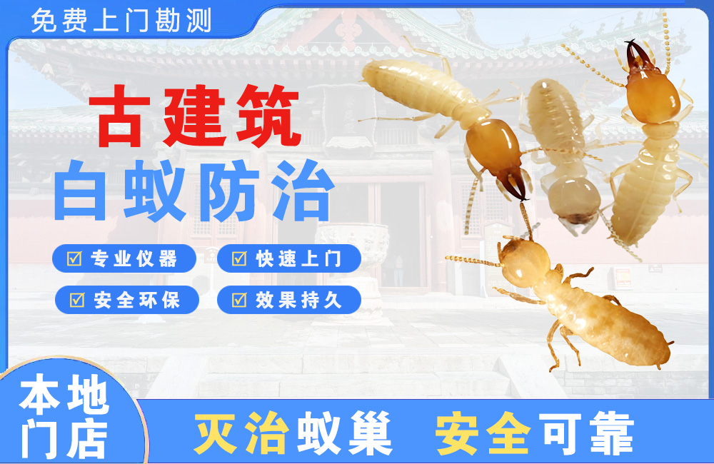 大竹古建筑白蚁防治