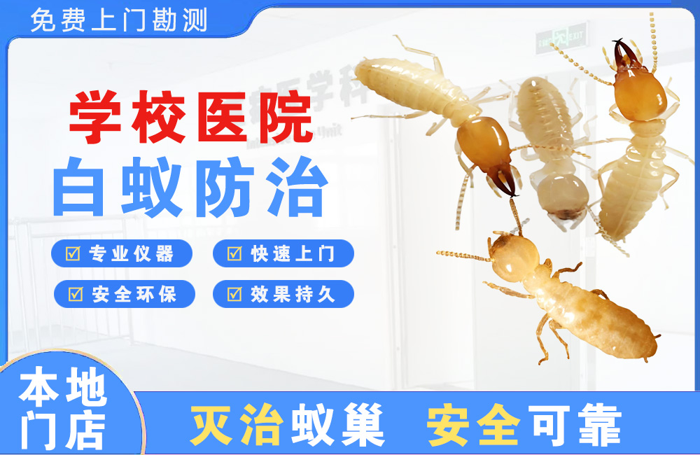 大竹学校医院白蚁防治