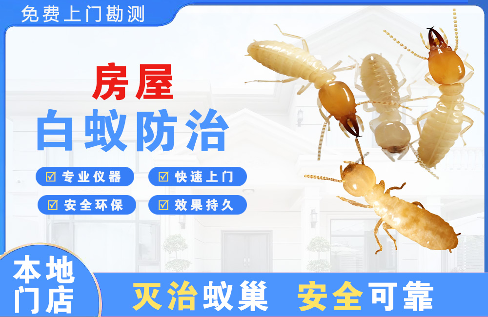 大竹房屋白蚁防治
